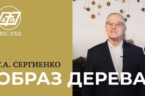 Сергиенко_Образ дерева